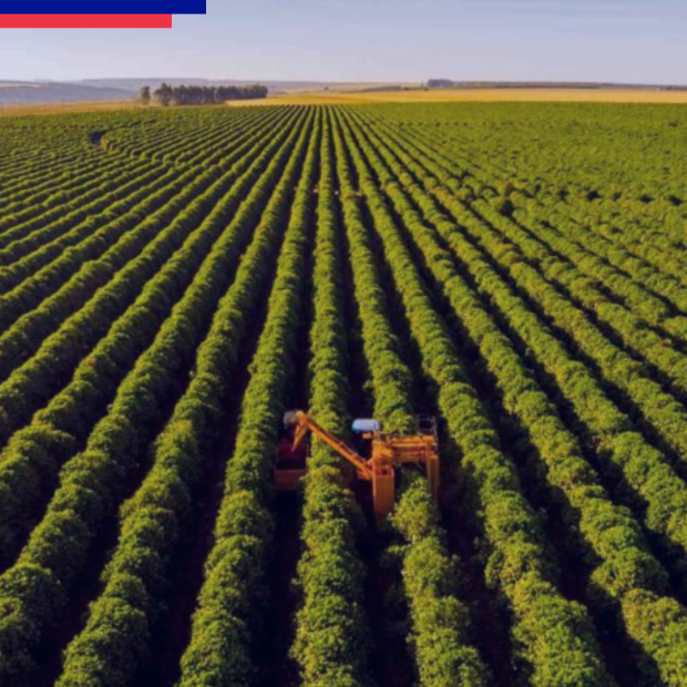 exportacoes_brasileiras_de_soja_batem_recorde